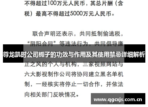 尊龙凯时公司栀子的功效与作用及其使用禁忌详细解析